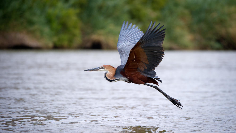 Wilderness Serra Cafema